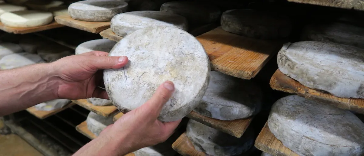 Lait cru, où va-t-on ?