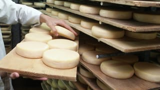 L’appel à l’aide de la filière